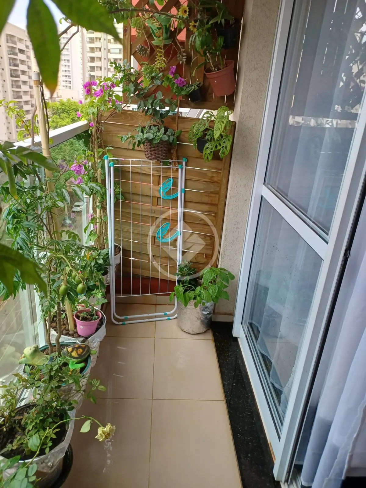 Imagem 6 - Apartamento em Nova Aliança, Ribeirão Preto - SP