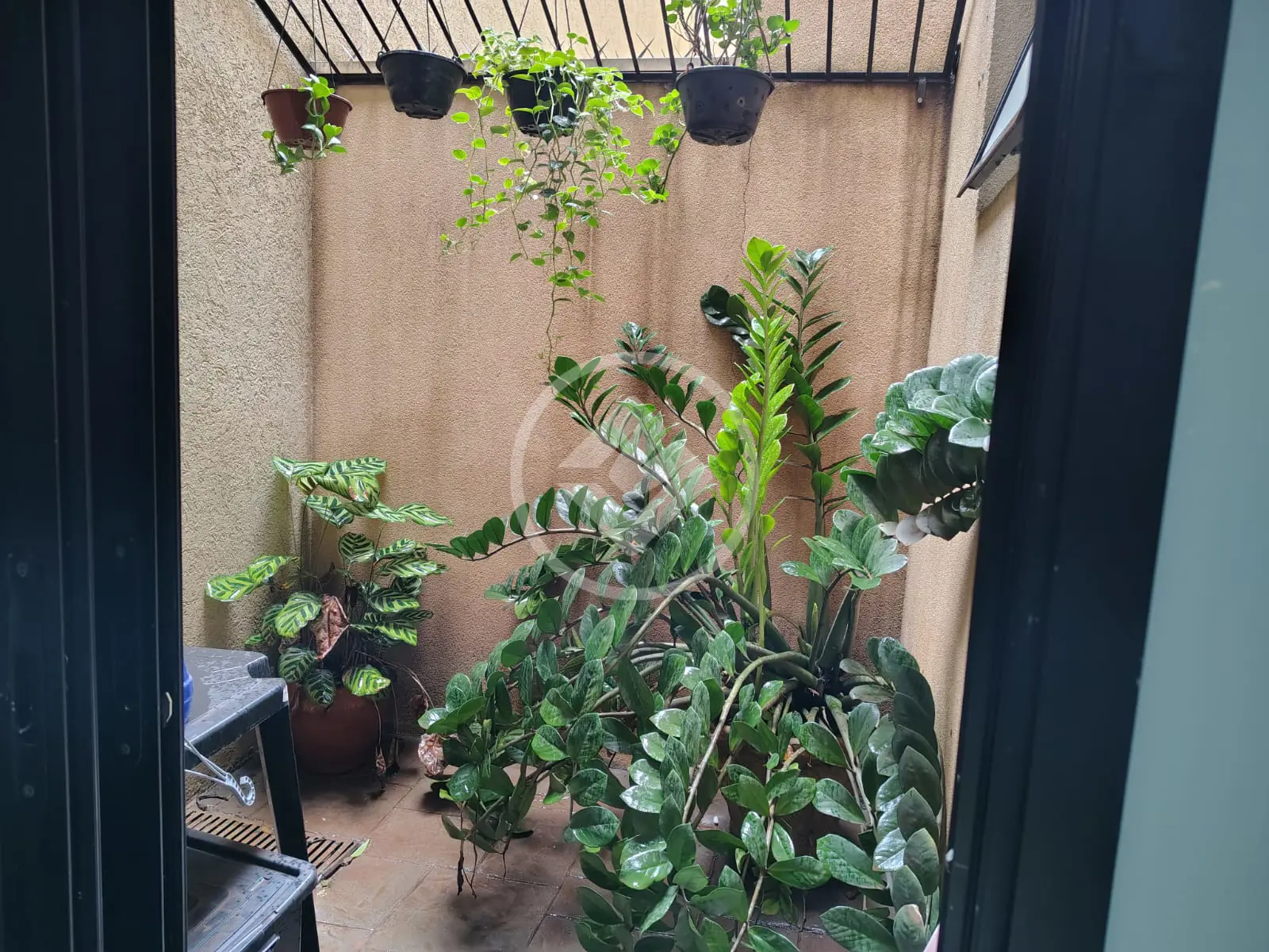 Imagem 6 - Apartamento em Jardim Botânico, Ribeirão Preto - SP