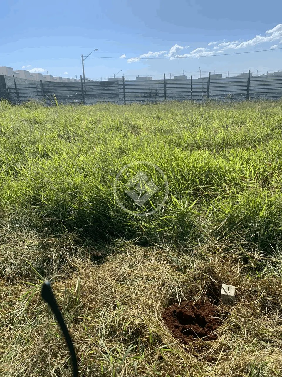 Terreno Parque Industrial Avelino Alves Palma, Ribeirão Preto - SP — foto 1