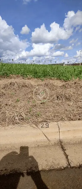 Terreno Condomínio Quinta da Primavera, Ribeirão Preto - SP — foto 2