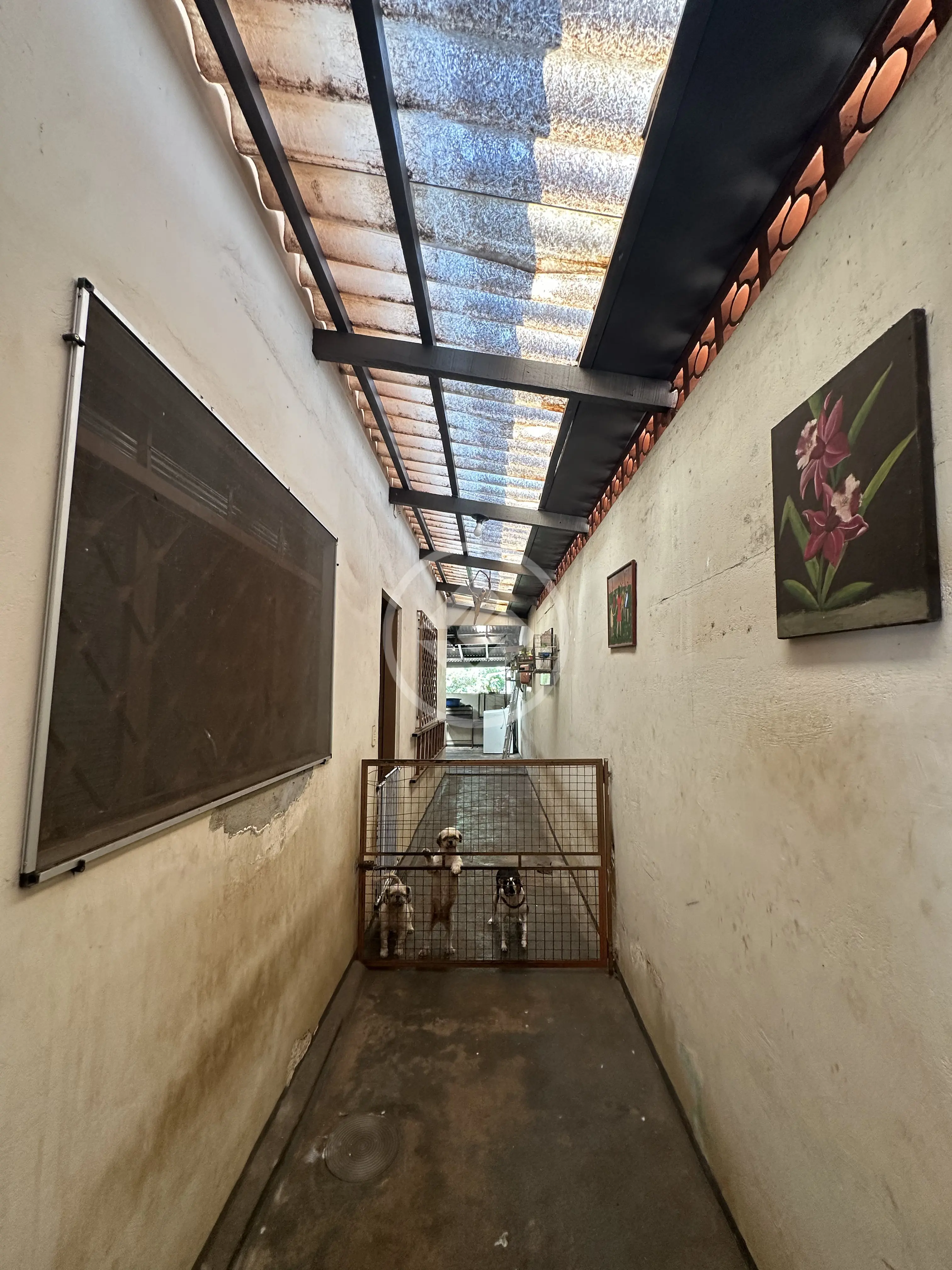 Imagem 6 - Casa em Campos Elíseos, Ribeirão Preto - SP