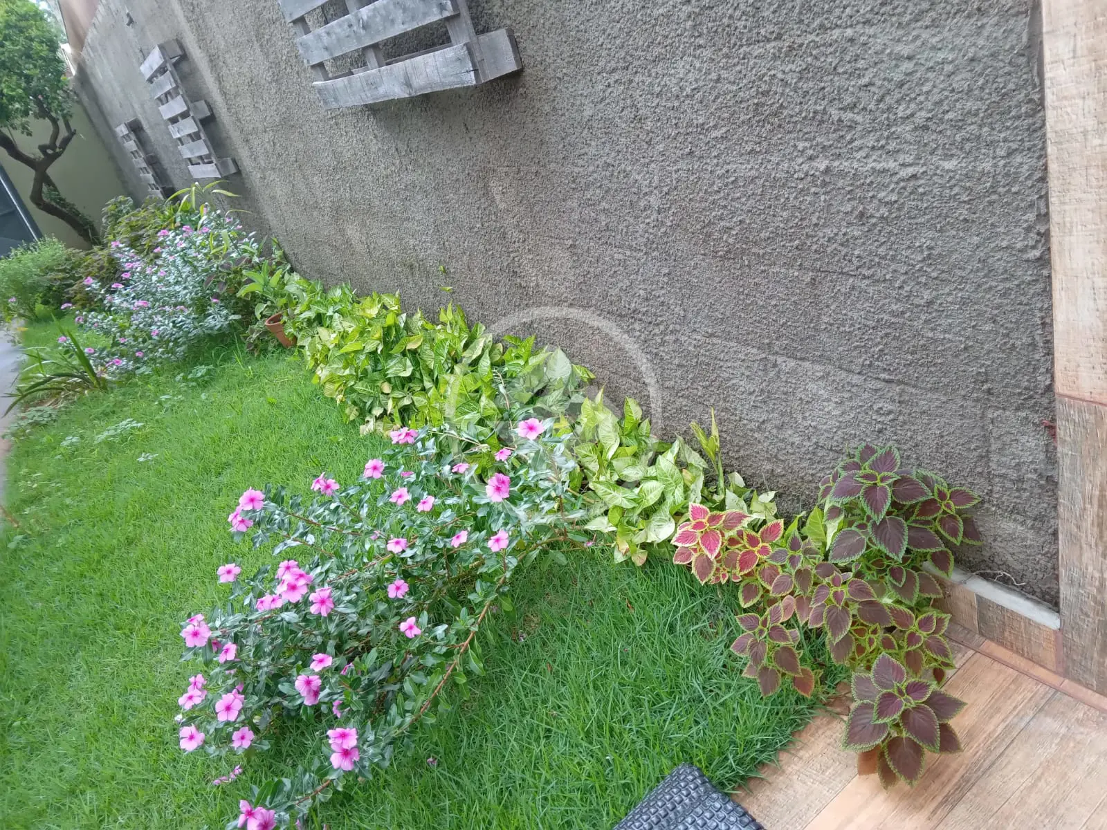 Imagem 2 - Casa em Parque Residencial Cândido Portinari, Ribeirão Preto - SP