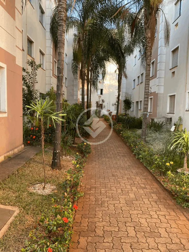 Imagem 2 - Apartamento em Vila Monte Alegre, Ribeirão Preto - SP