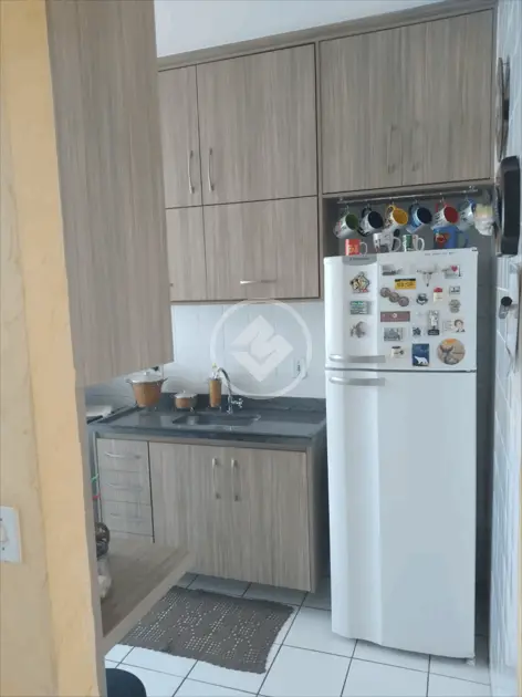 Imagem 4 - Apartamento em Geraldo Correia de Carvalho, Ribeirão Preto - SP