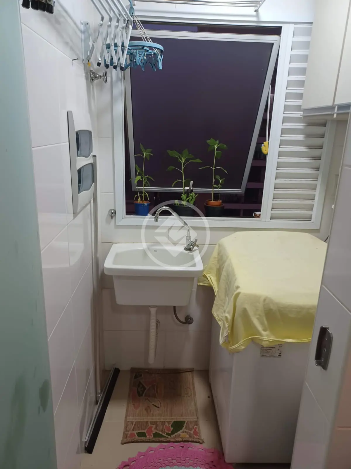 Imagem 5 - Apartamento em Nova Aliança, Ribeirão Preto - SP
