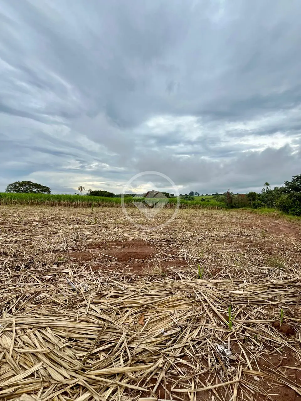 Sítio AREA RURAL, Cajuru - SP — foto 2