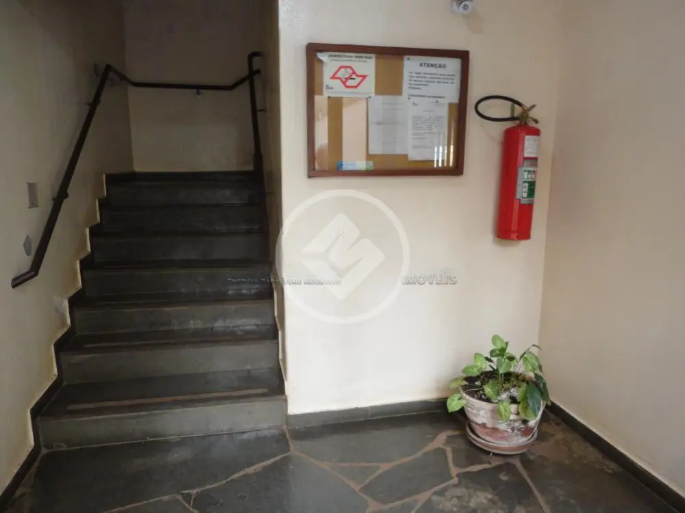 Imagem 2 - Apartamento em Vila Seixas, Ribeirão Preto - SP