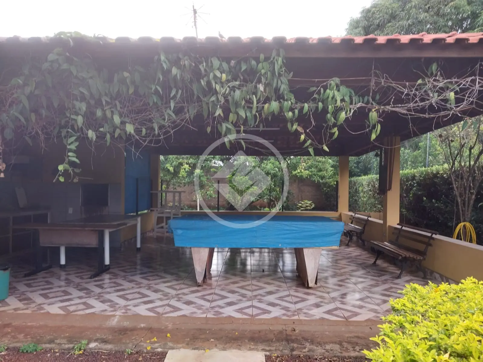 Imagem 6 - Chácara em Jd. das Rosas, Jardinópolis - SP