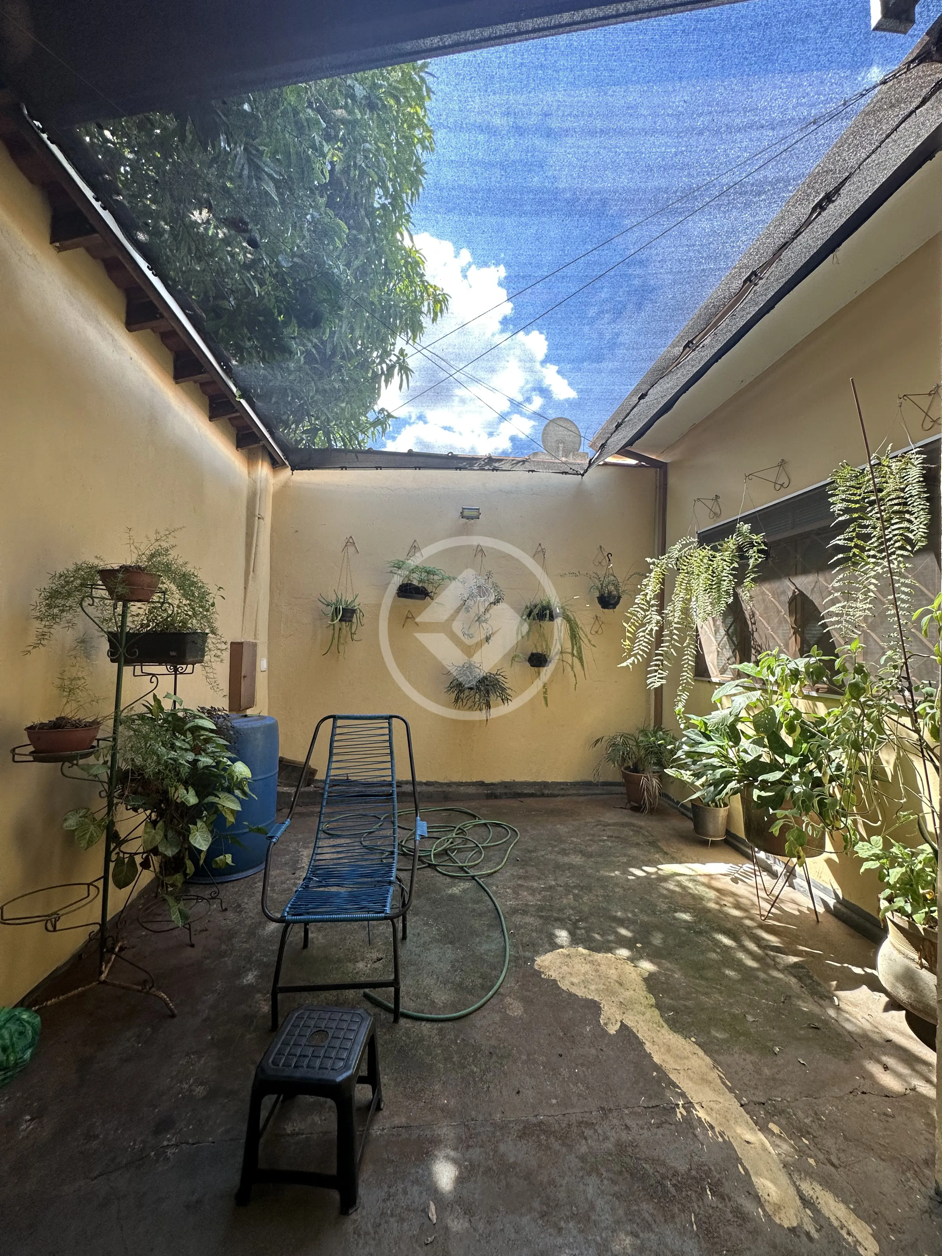 Imagem 5 - Casa em Campos Elíseos, Ribeirão Preto - SP