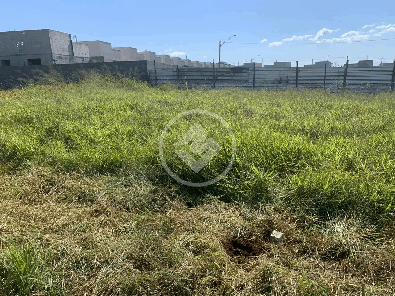 Imagem 4 - Terreno em Parque Industrial Avelino Alves Palma, Ribeirão Preto - SP