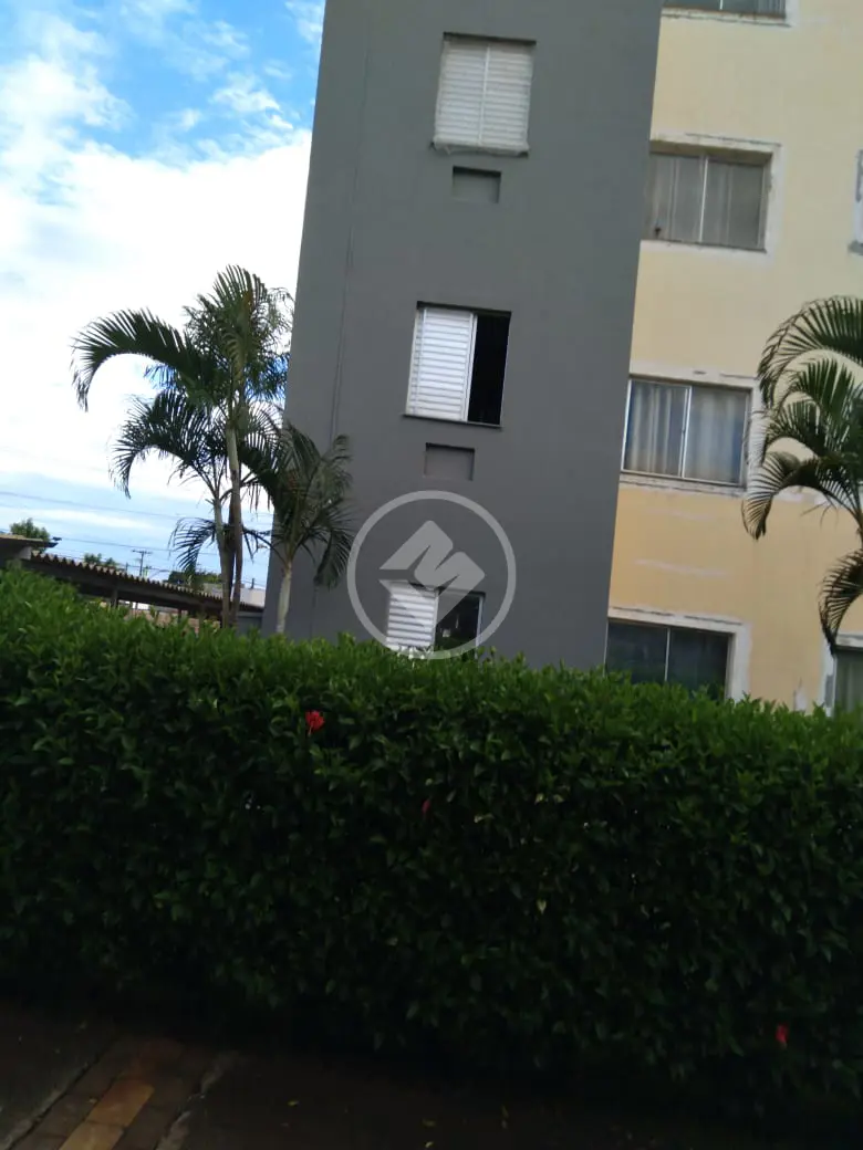 Apartamento Jardim Marchesi, Ribeirão Preto - SP — foto 2
