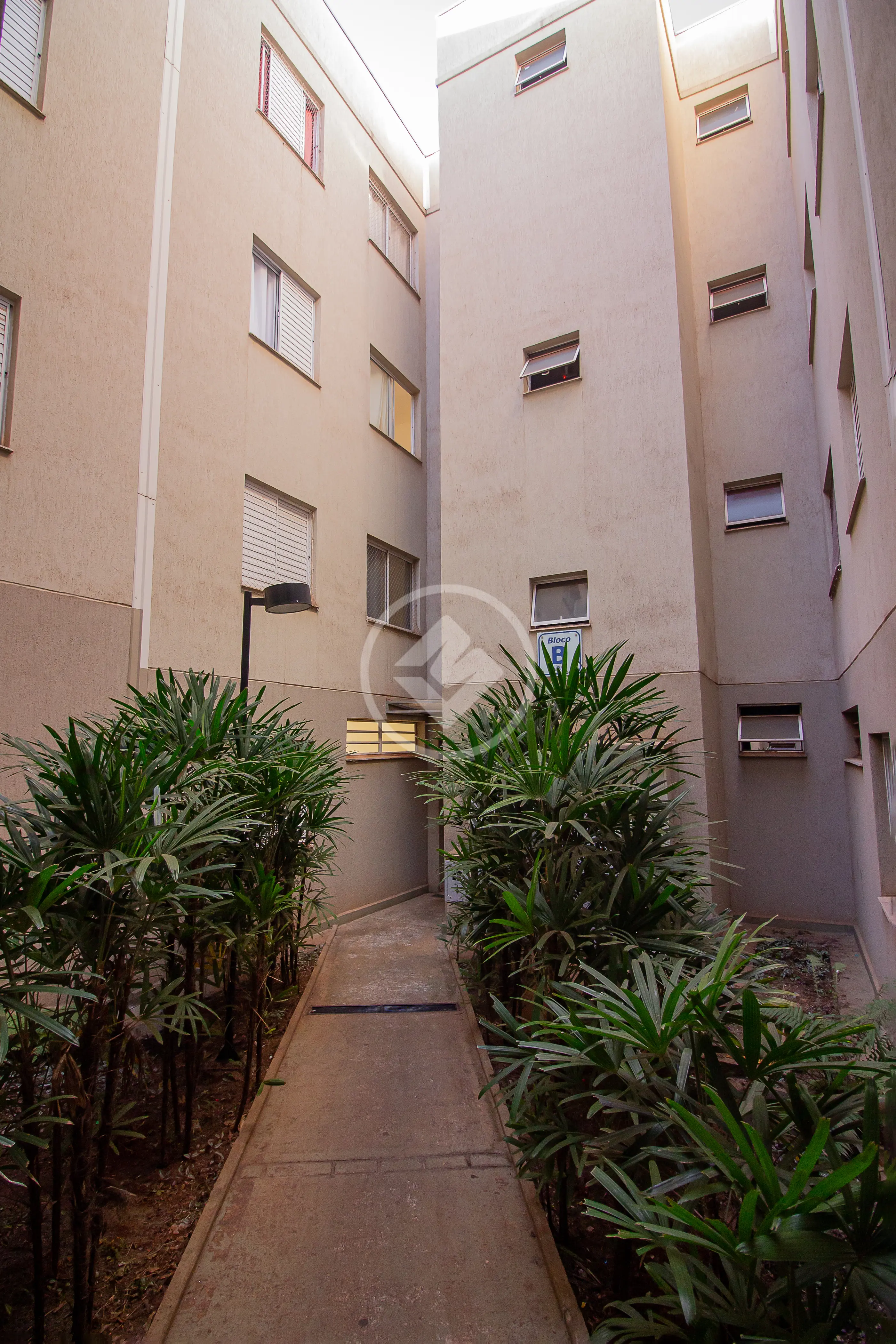 Imagem 2 - Apartamento em Jardim Heitor Rigon, Ribeirão Preto - SP