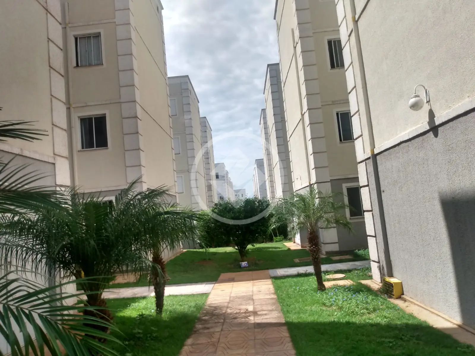 Apartamento Conjunto Habitacional Sílvio Passalacqua, Ribeirão Preto - SP — foto 2
