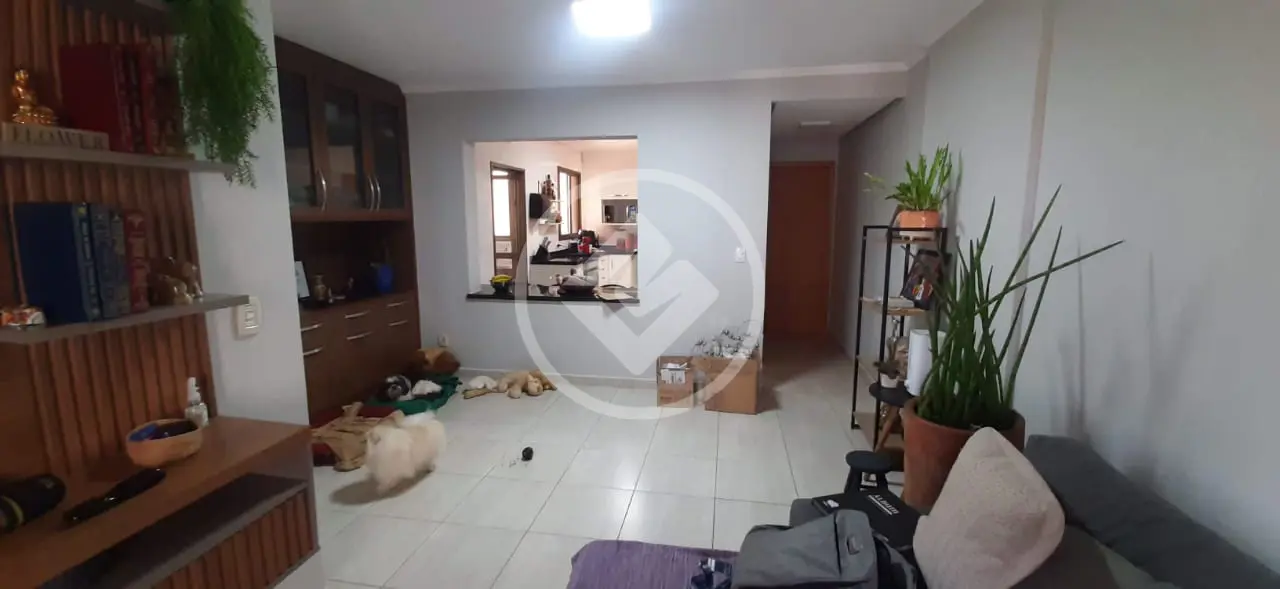 Imagem 5 - Apartamento em Santa Cruz do José Jacques, Ribeirão Preto - SP