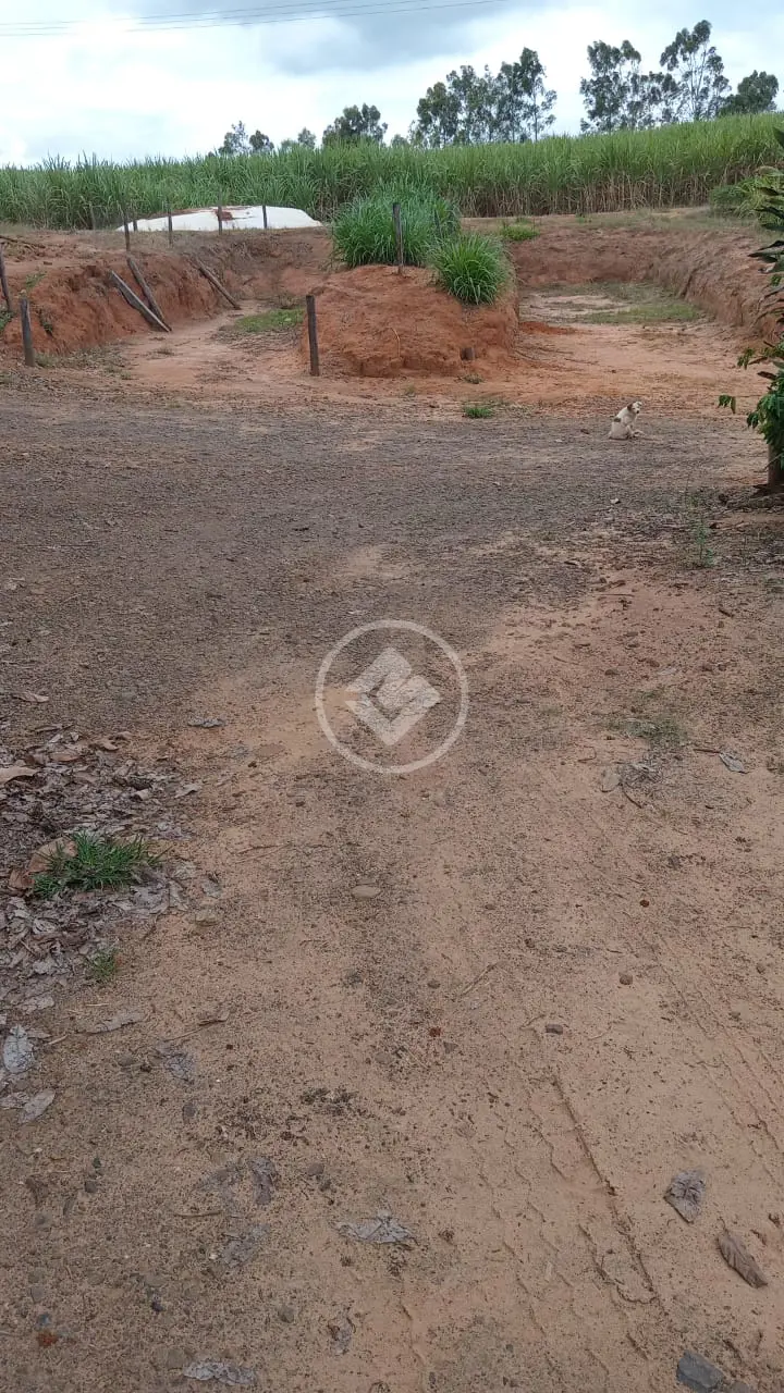 Imagem 3 - Sítio em Centro, Santa Rita do Passa Quatro - SP