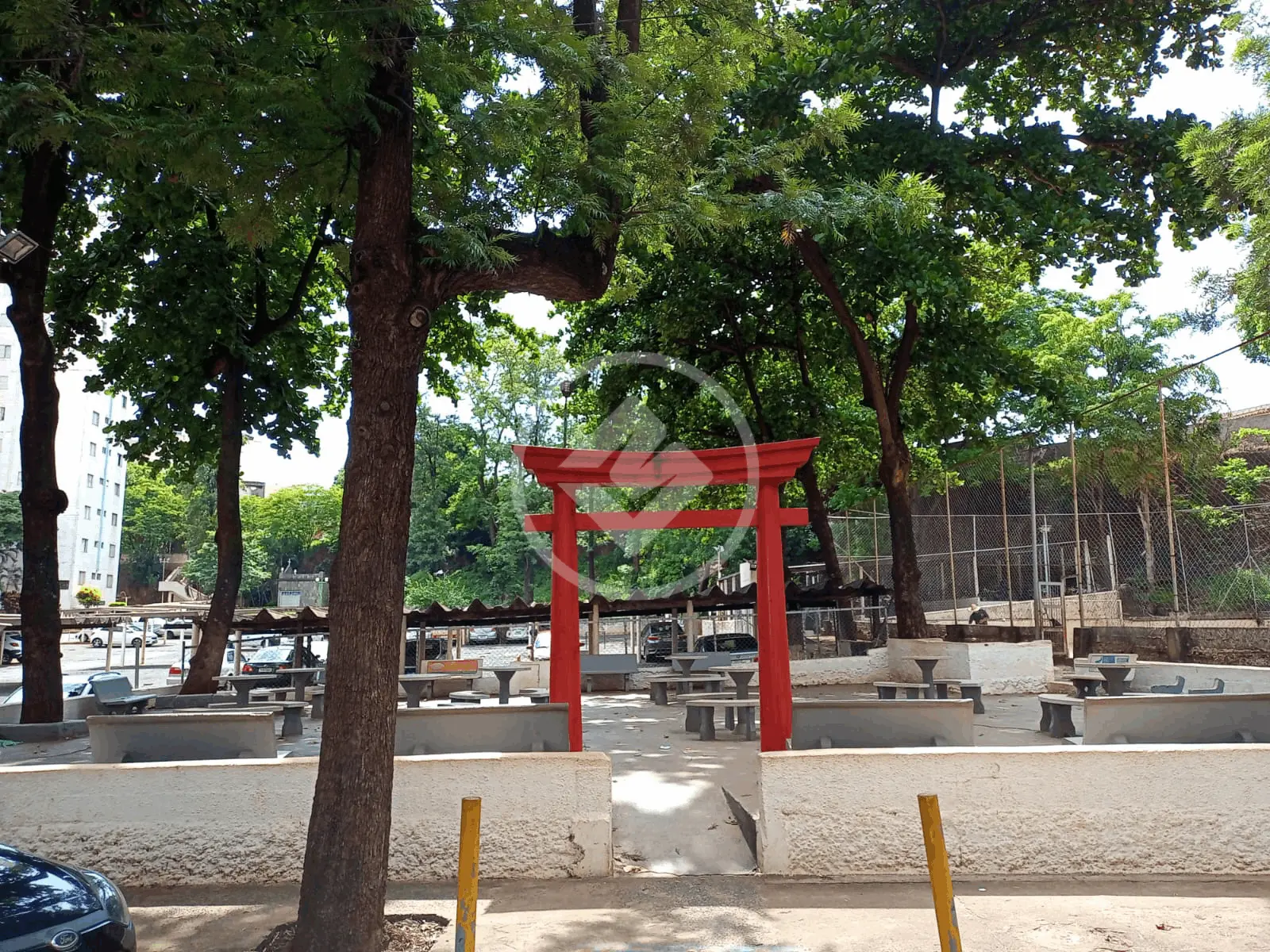 Apartamento Jardim Palma Travassos, Ribeirão Preto - SP — foto 1