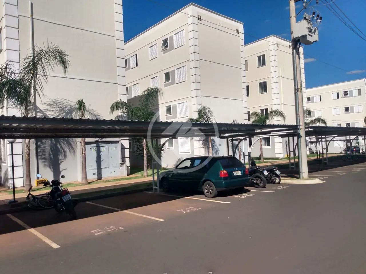 Apartamento Conjunto Habitacional Sílvio Passalacqua, Ribeirão Preto - SP — foto 1