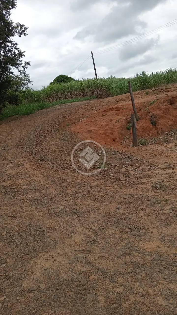 Sítio Centro, Santa Rita do Passa Quatro - SP — foto 2
