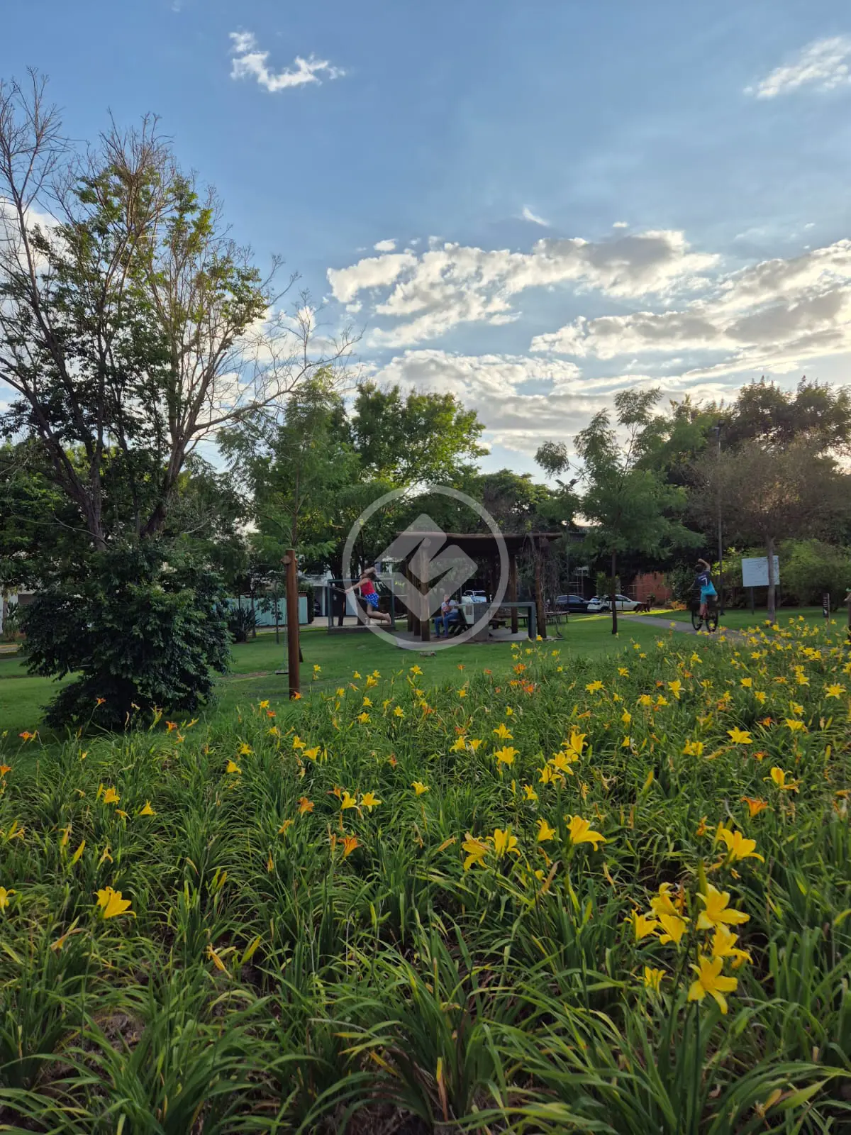 Imagem 6 - Terreno Condomínio em Jardim Saint Gerard, Ribeirão Preto - SP