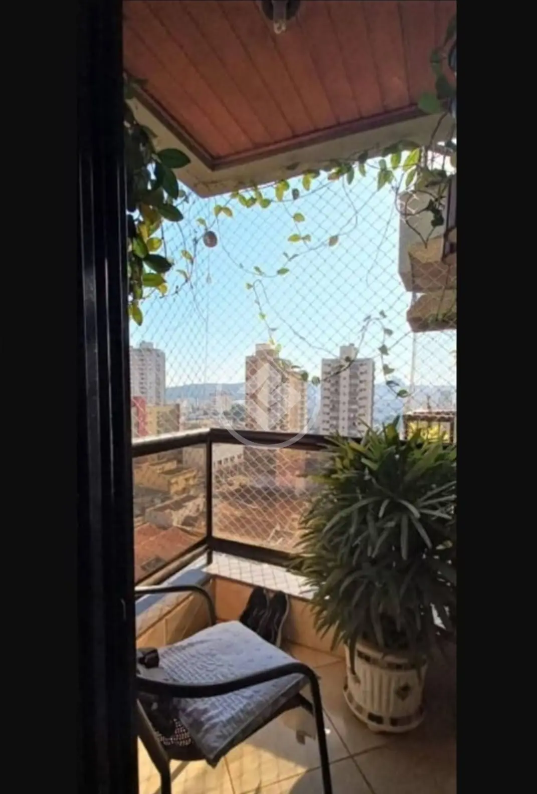 Imagem 1 - Apartamento em Vila Seixas, Ribeirão Preto - SP