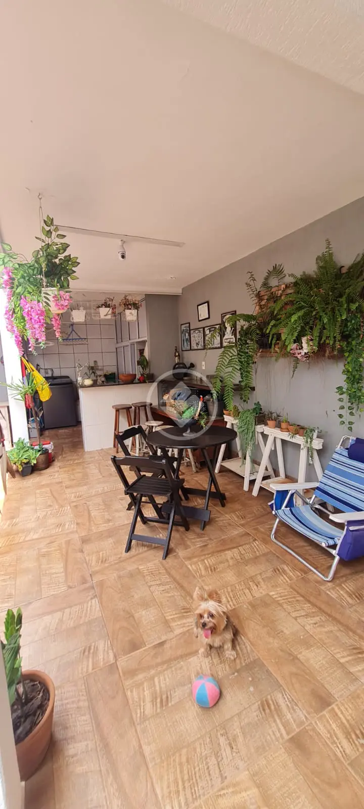Imagem 5 - Casa em Jardim Paulistano, Ribeirão Preto - SP