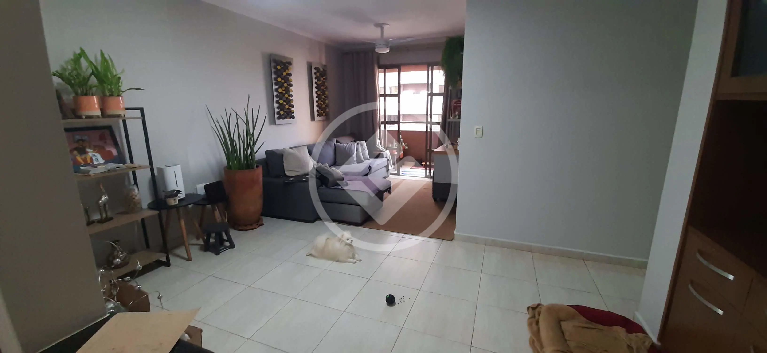 Apartamento Santa Cruz do José Jacques, Ribeirão Preto - SP — foto 2