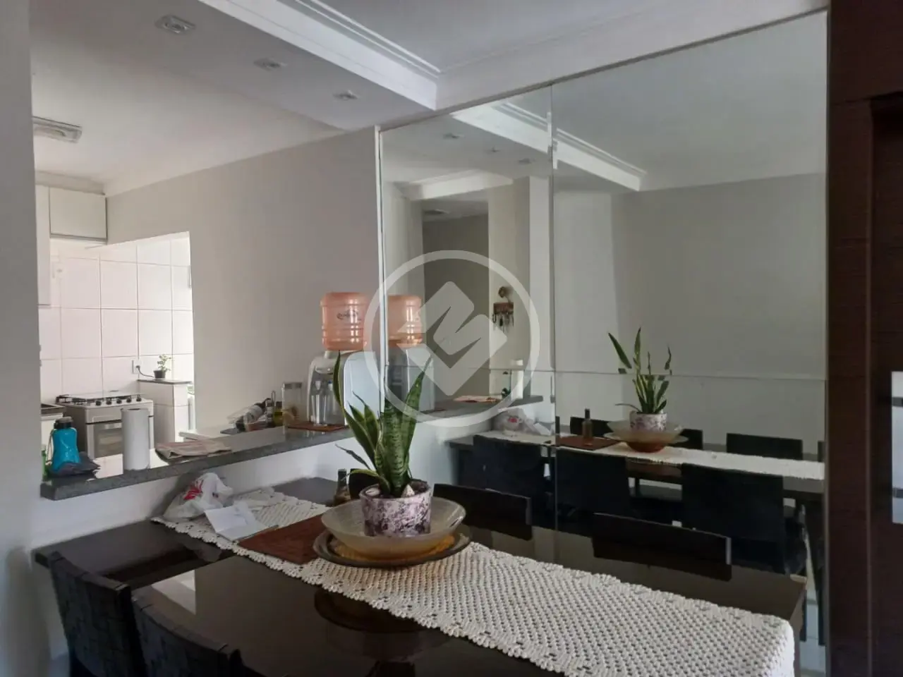 Imagem 2 - Apartamento em Vila Ana Maria, Ribeirão Preto - SP