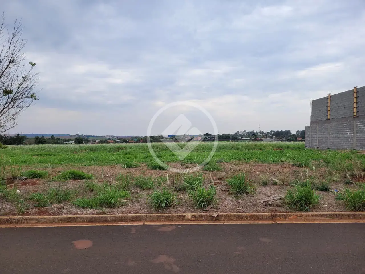 Imagem 1 - Terreno Comercial em Centro, Ribeirão Preto - SP