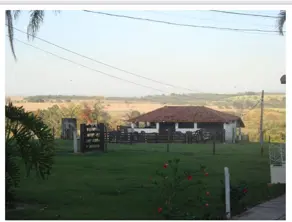 Imagem 4 - Sítio em AREA RURAL, Cajuru - SP