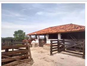 Sítio AREA RURAL, Cajuru - SP — foto 2