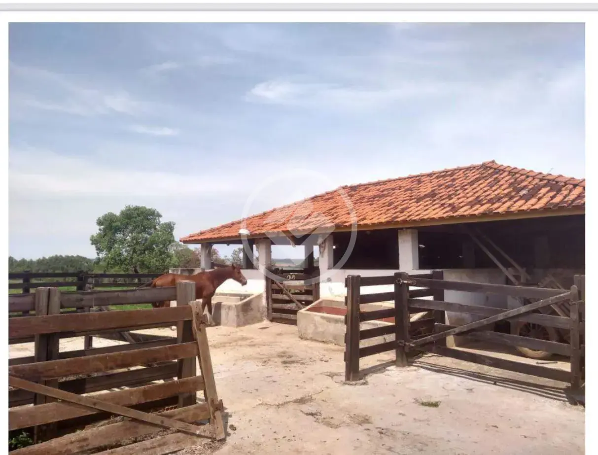 Image 2 - Sítio em AREA RURAL, Cajuru - SP