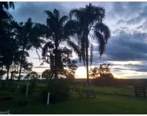 Imagem 3 - Sítio em AREA RURAL, Cajuru - SP