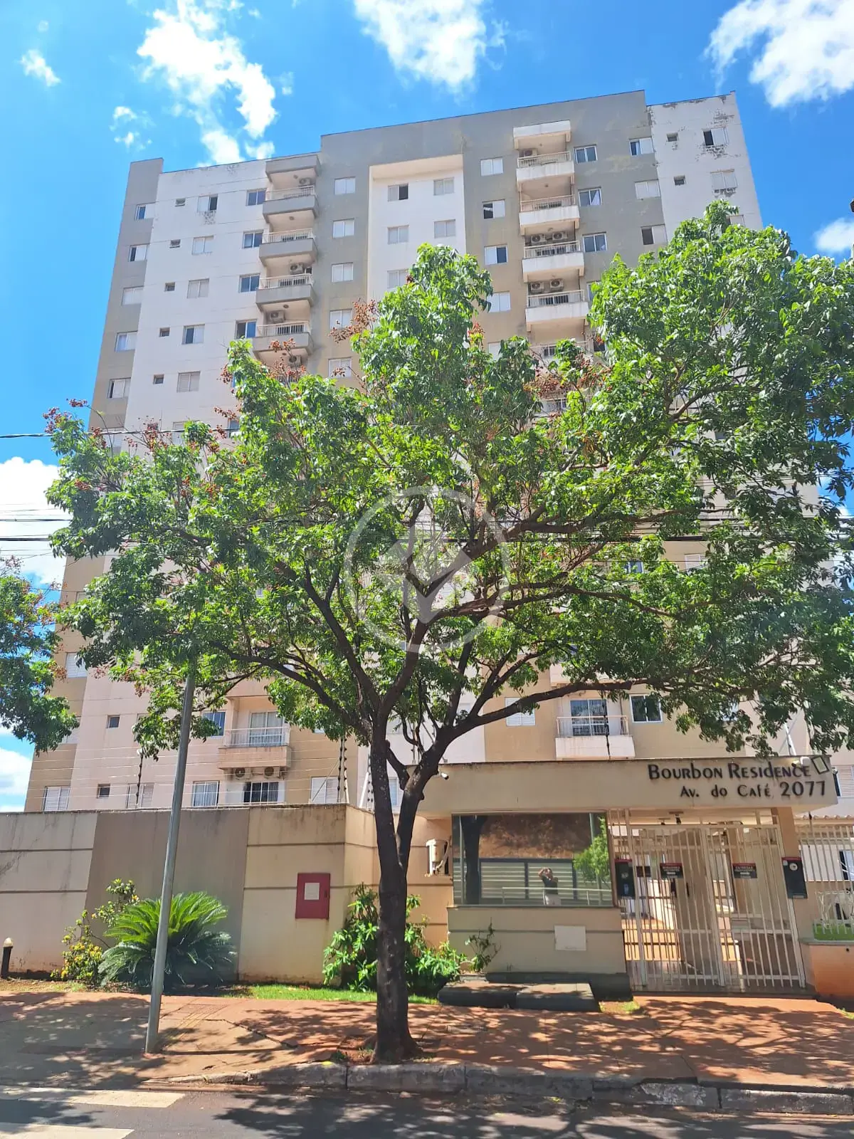 Imagem 1 - Apartamento em Vila Amélia, Ribeirão Preto - SP