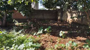 Terreno Vila Virgínia, Ribeirão Preto - SP — foto 1