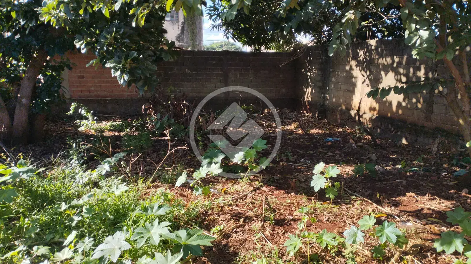 Imagem 1 - Terreno em Vila Virgínia, Ribeirão Preto - SP