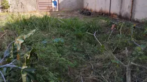 Terreno Vila Virgínia, Ribeirão Preto - SP — foto 2