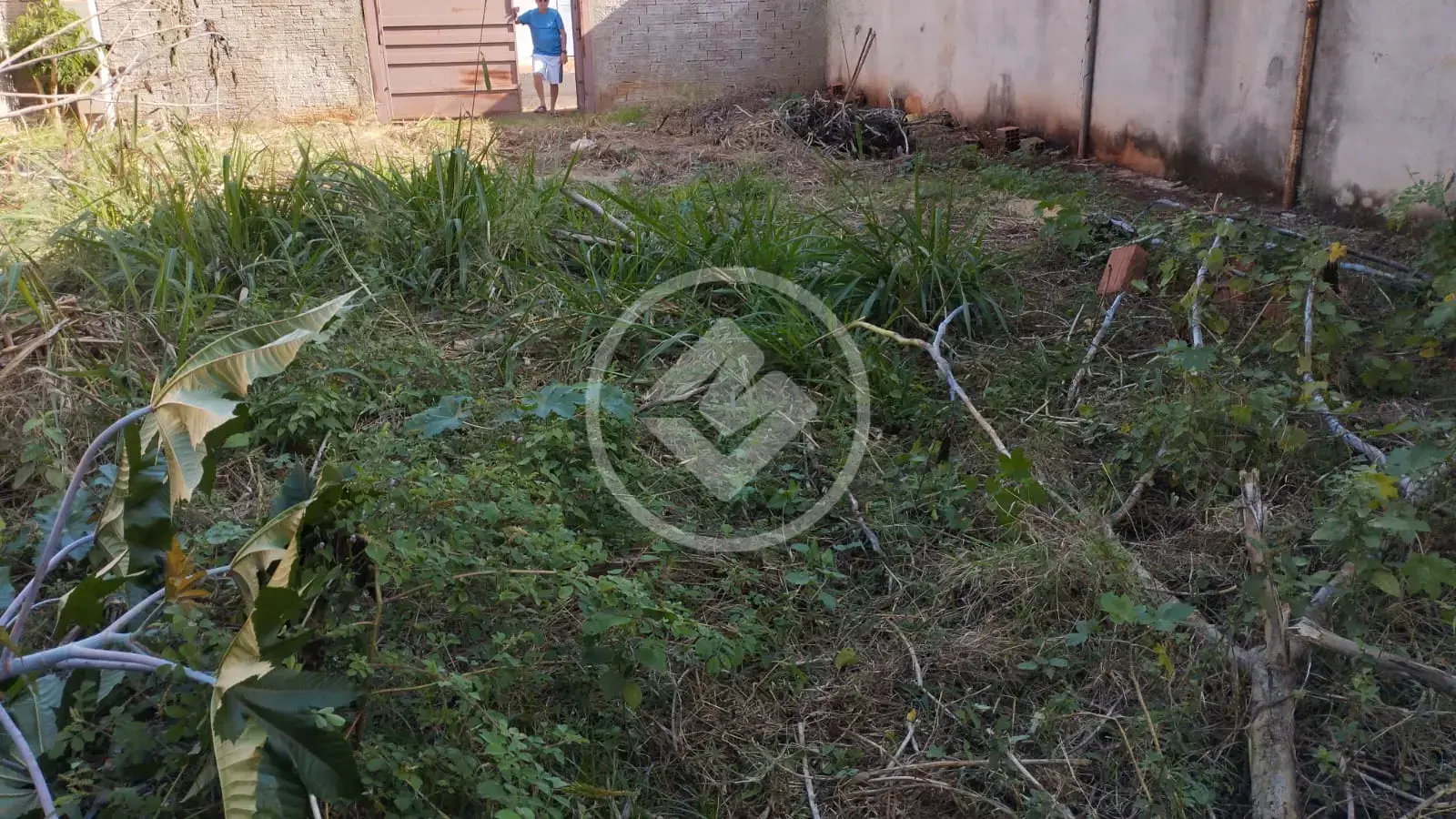 Image 2 - Terreno em Vila Virgínia, Ribeirão Preto - SP