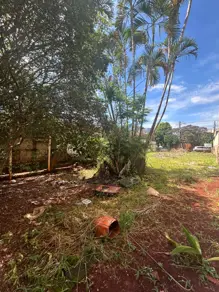 Imagem 4 - Terreno em Jardim Irajá, Ribeirão Preto - SP