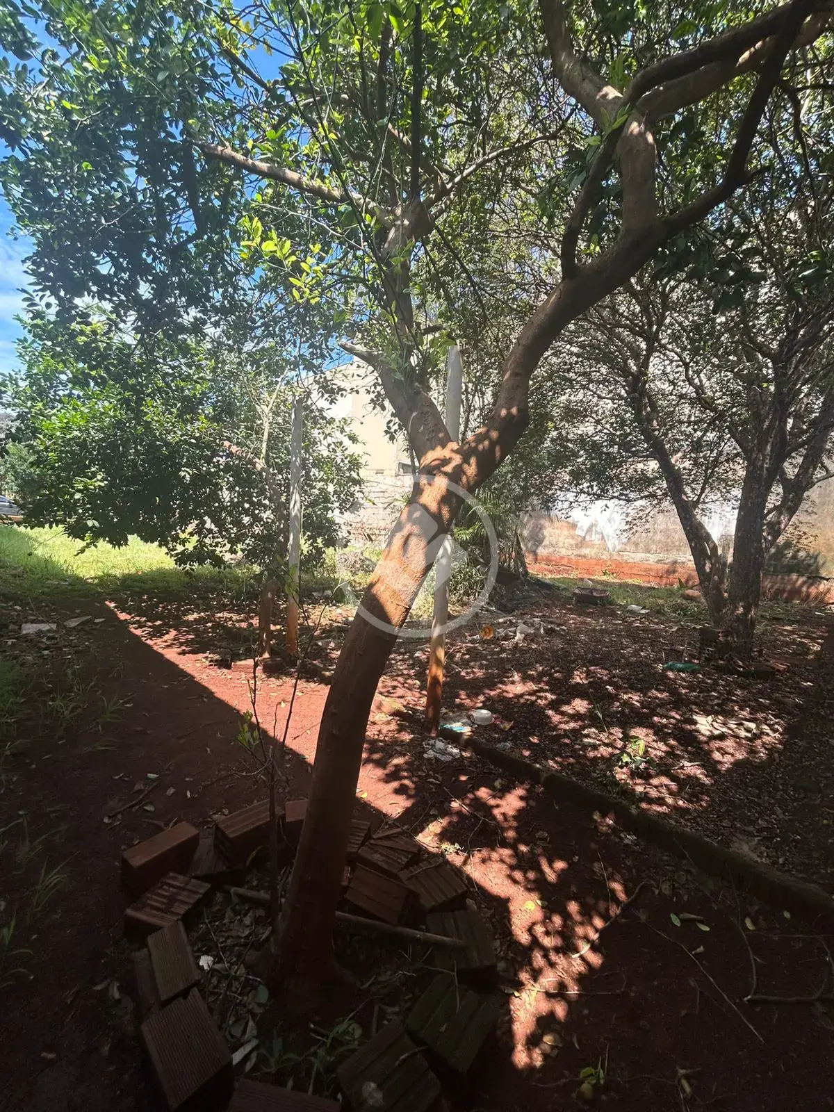 Image 2 - Terreno em Jardim Irajá, Ribeirão Preto - SP