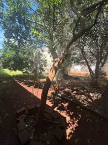 Imagem 5 - Terreno em Jardim Irajá, Ribeirão Preto - SP