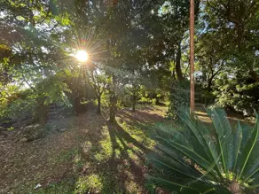 Imagem 6 - Chácara em Recreio Internacional, Ribeirão Preto - SP