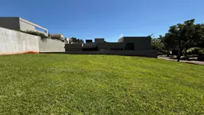 Terreno Condomínio Residencial e Empresarial Alphaville, Ribeirão Preto - SP — foto 1