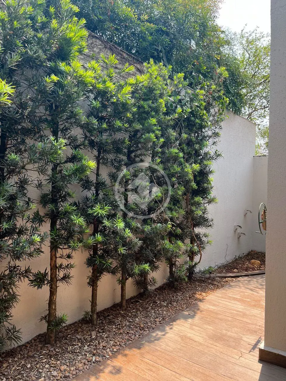 Casa Condomínio Jardim Botânico, Ribeirão Preto - SP — foto 2