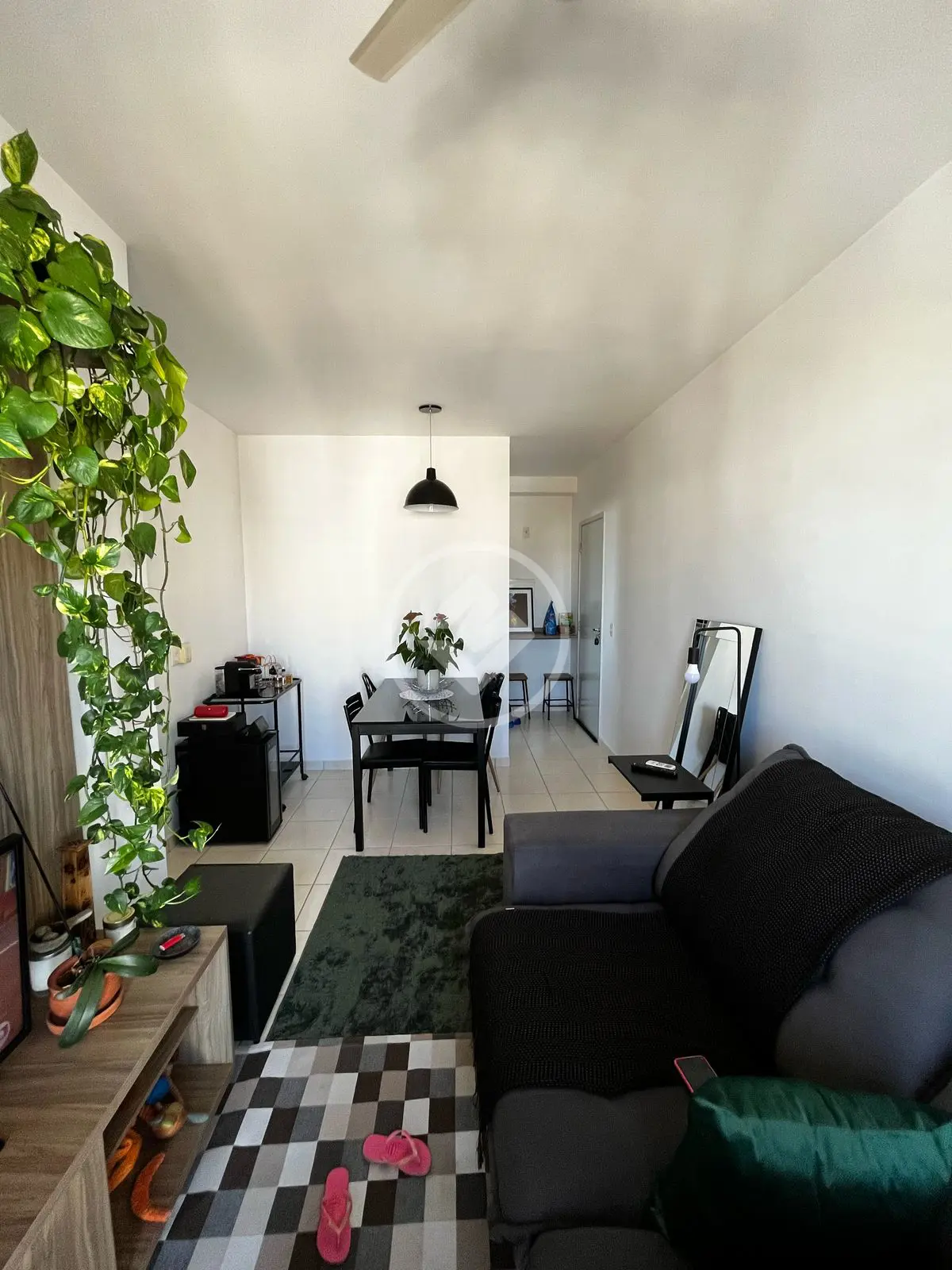 Imagem 1 - Apartamento em Nova Aliança, Ribeirão Preto - SP