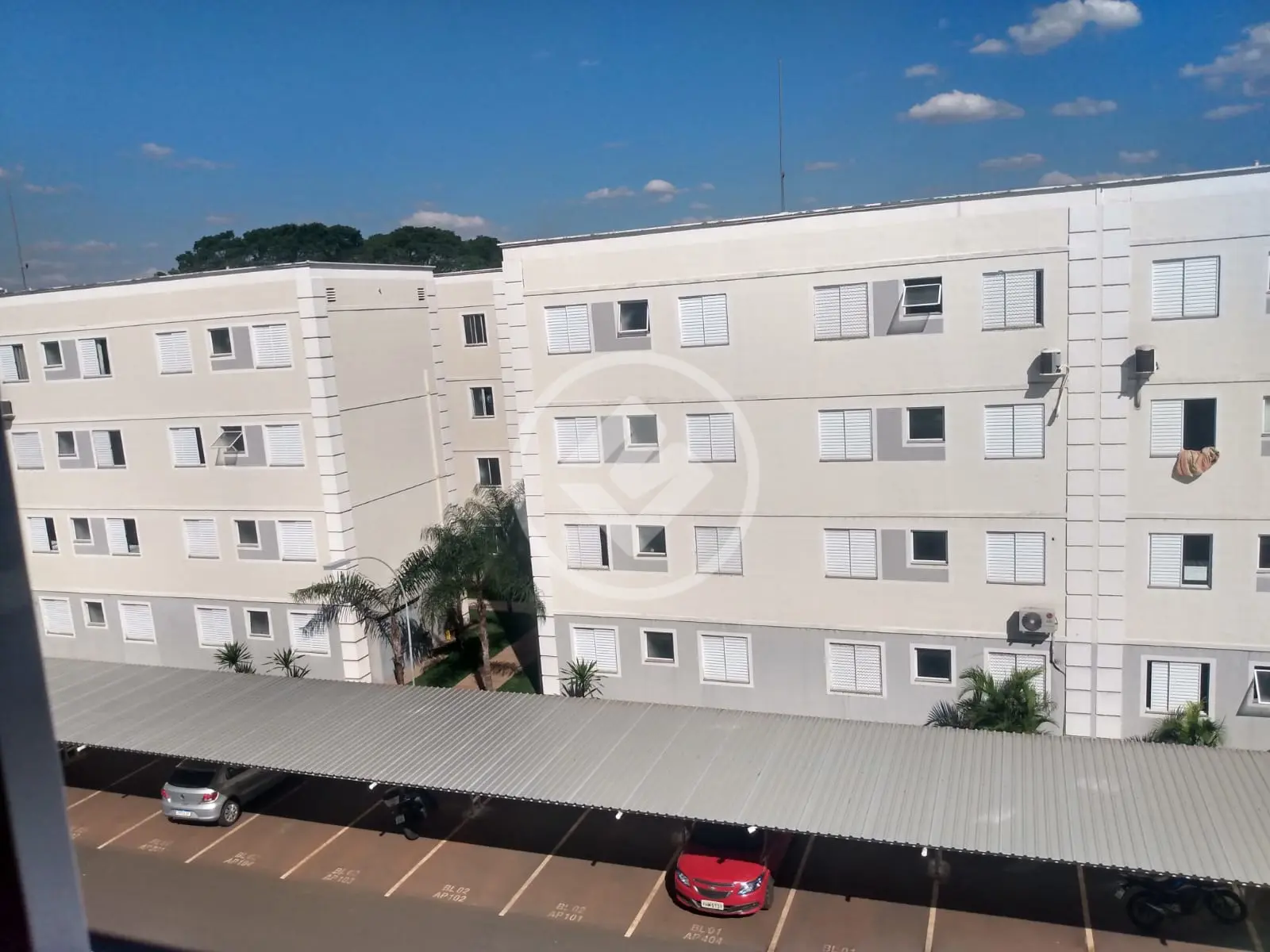Apartamento Conjunto Habitacional Sílvio Passalacqua, Ribeirão Preto - SP — foto 1