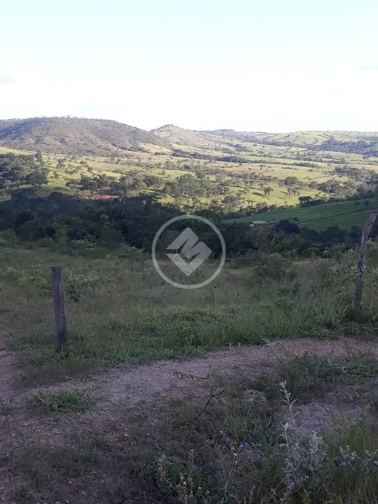 Image 8 - Fazenda em Zona Rural, Cocalzinho de Goiás - GO