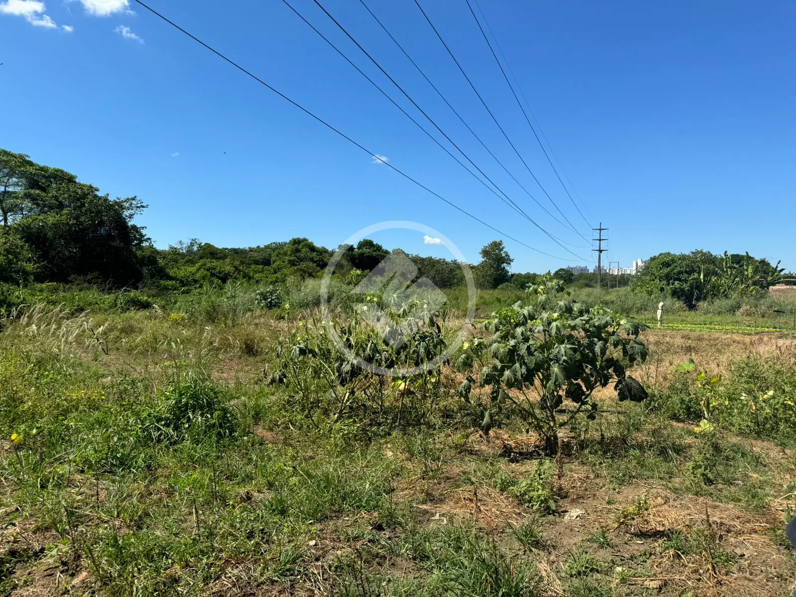 Imagem 5 - Terreno em Setor Urias Magalhães, Goiânia - GO