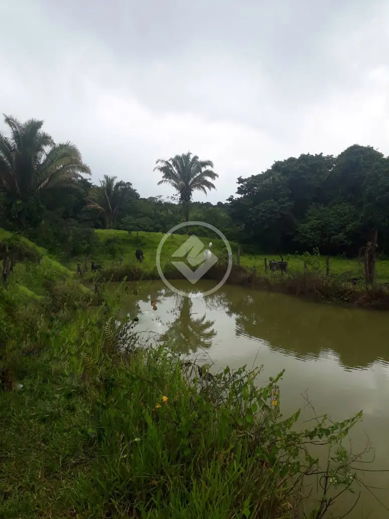 Imagem 1 - Fazenda em Zona Rural, Cocalzinho de Goiás - GO