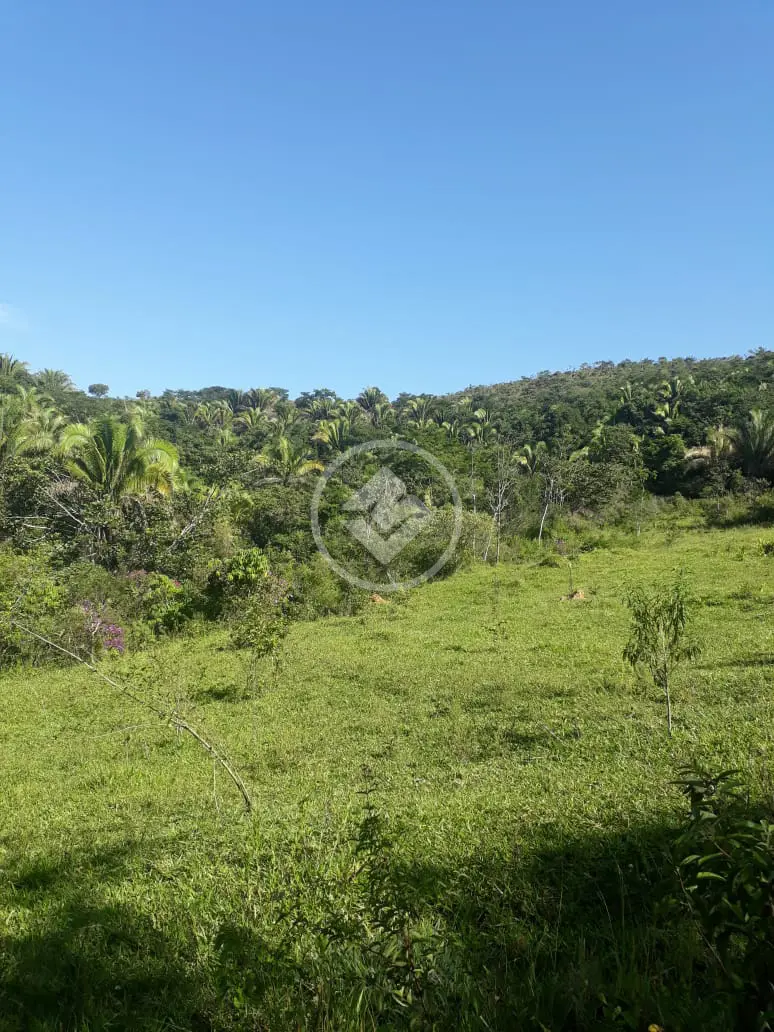 Imagem 6 - Fazenda em Zona Rural, Cocalzinho de Goiás - GO
