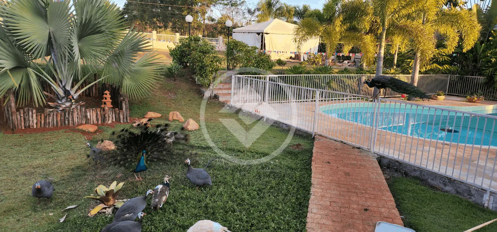 Imagem 2 - Casa Condomínio em Sítio de Recreio Paraíso Tropical, Goiânia - GO